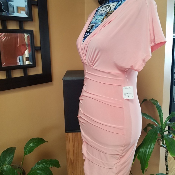 (SOLD) FOREVER 21 LIGHT PINK FITTED DRESS - Picture 5 of 8